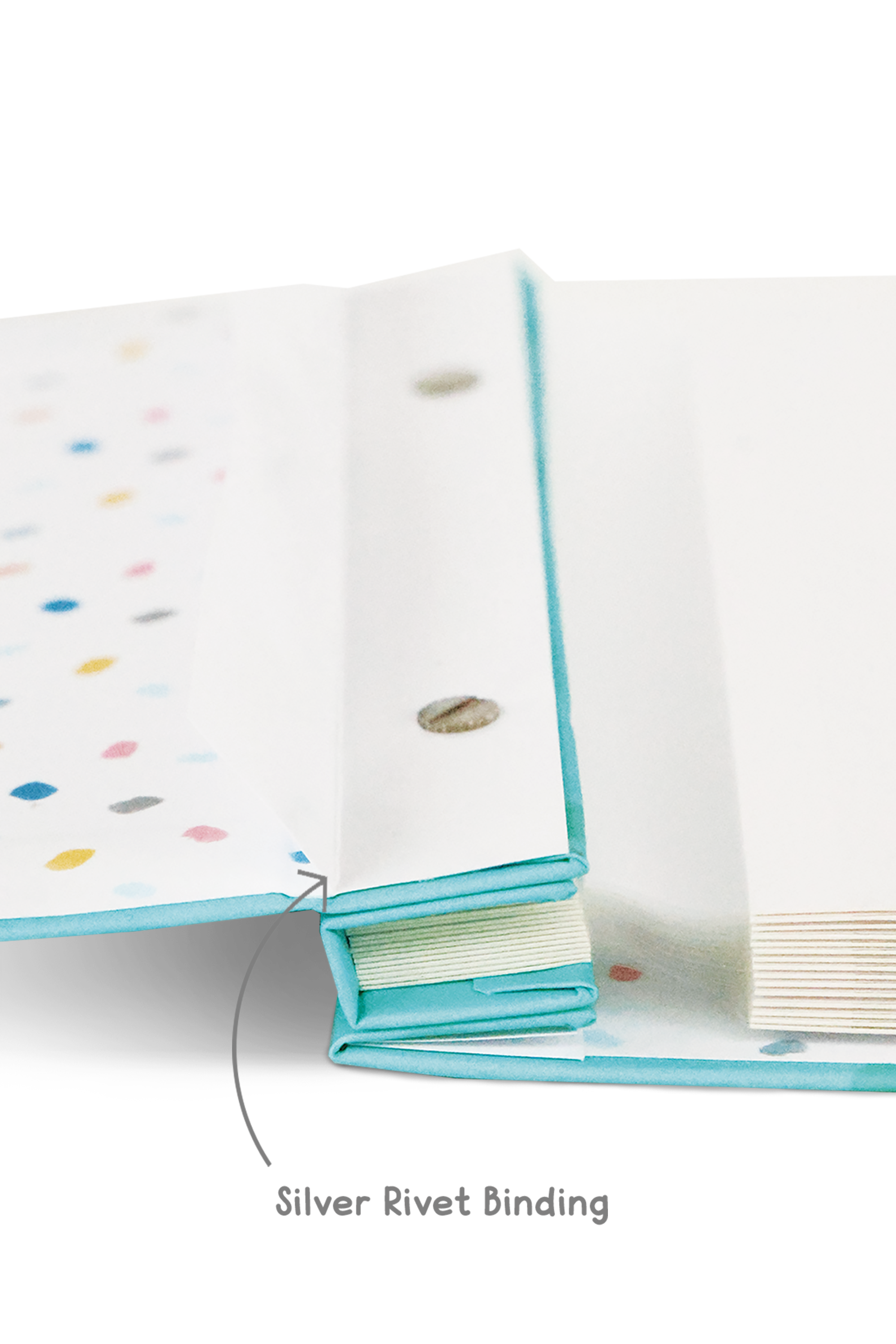 My Pregnancy Journey Mini Photo Album