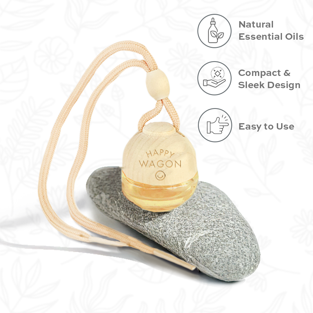 Car Freshener - Set of 2 - Aqua + Spring Bloom