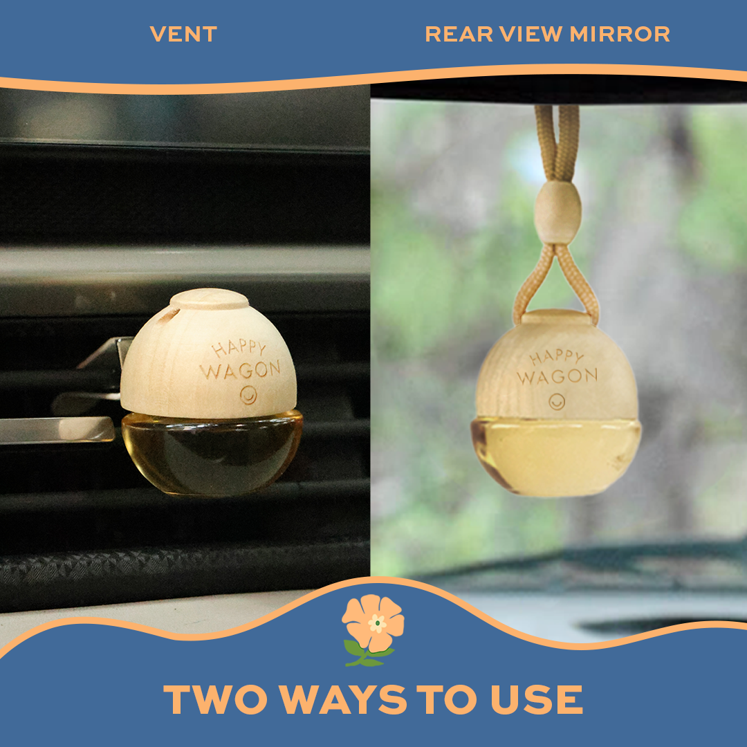 Car Freshener - Set of 2 - Blueberry + Musk Noir