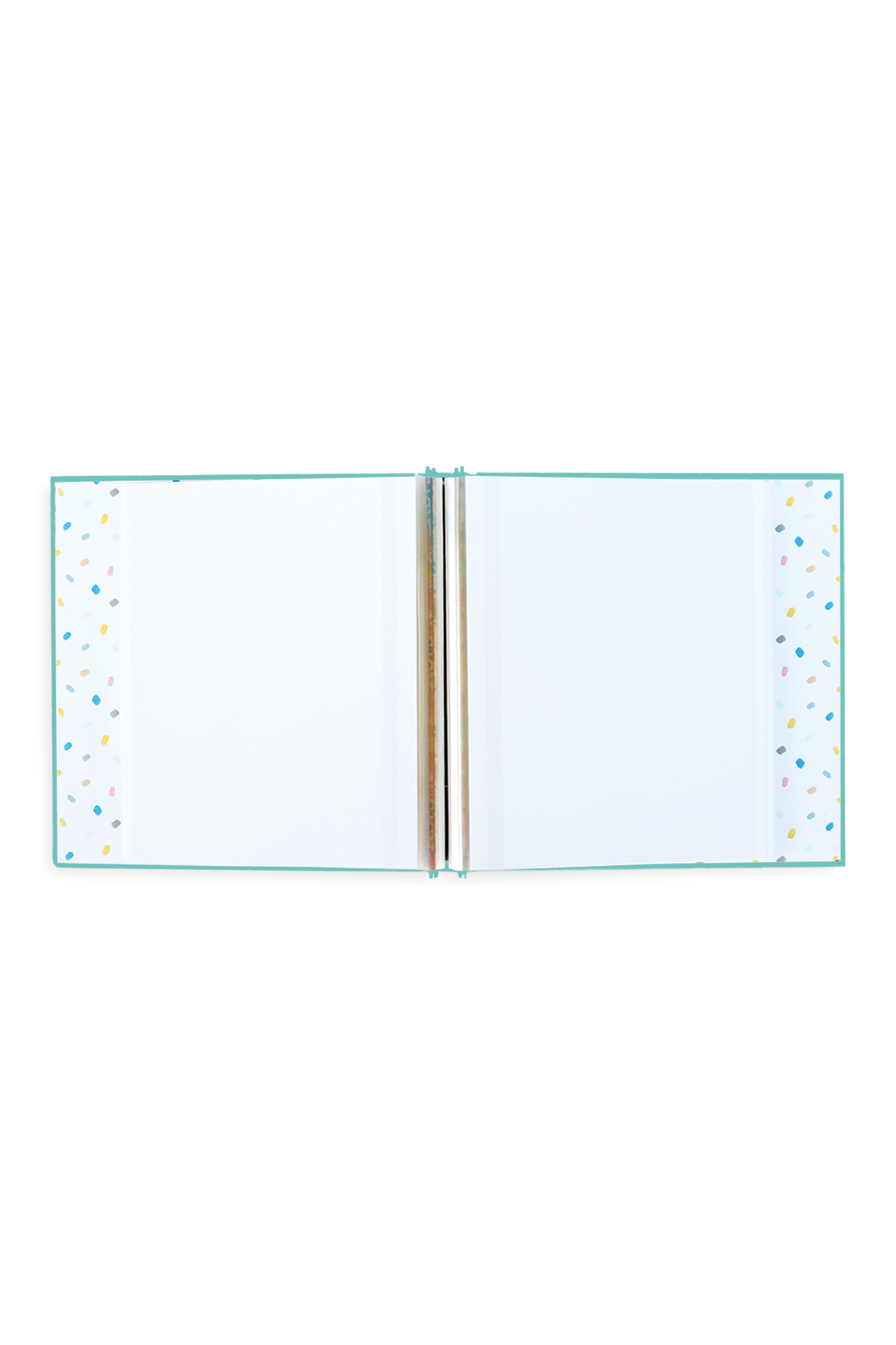 My Pregnancy Journey Mini Photo Album