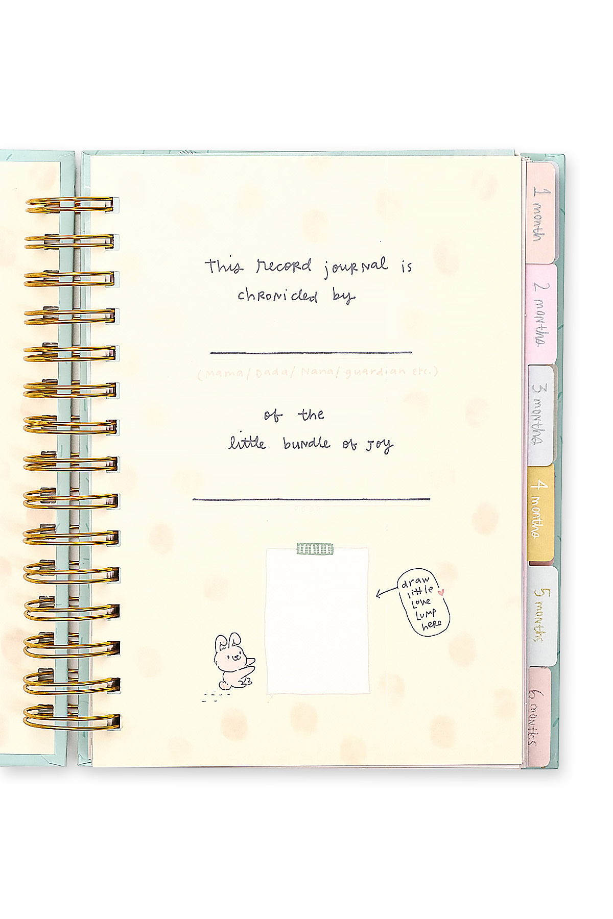 Baby Record Journal