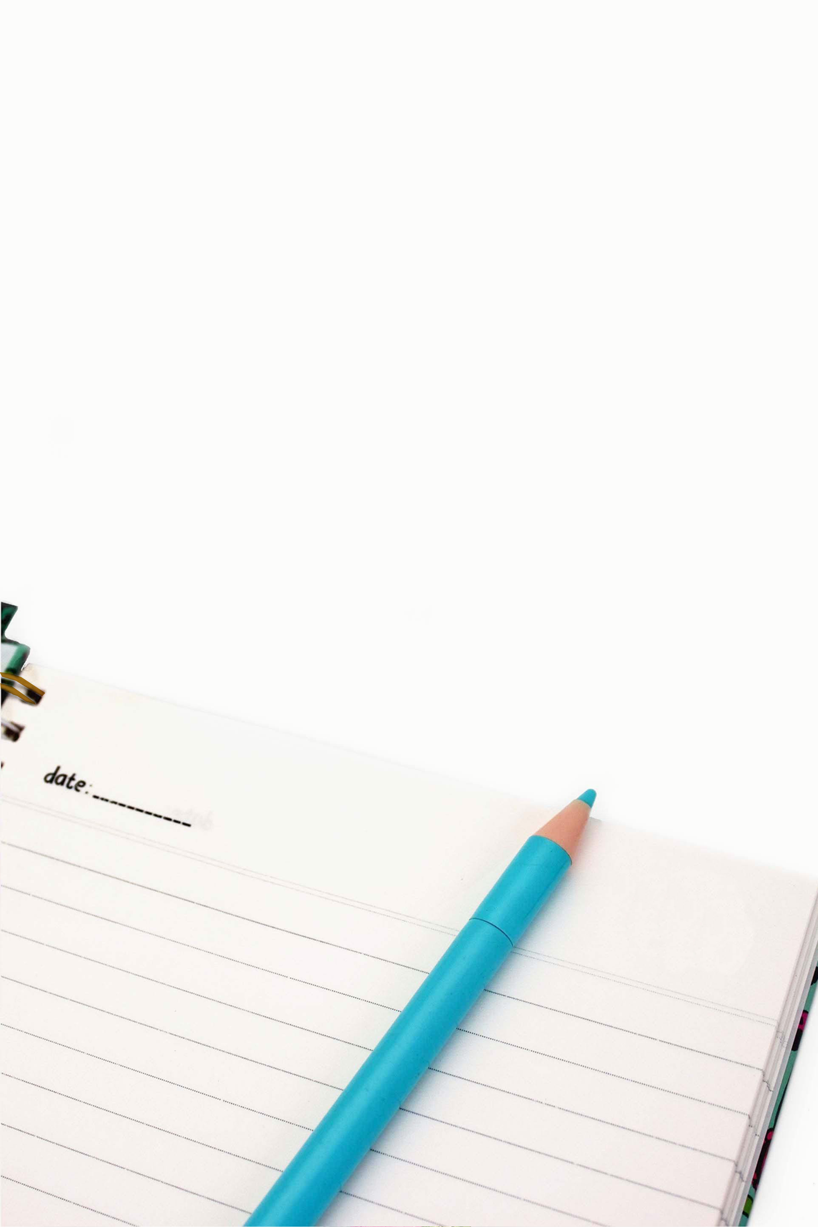 Manifest Your Dream Life Journal