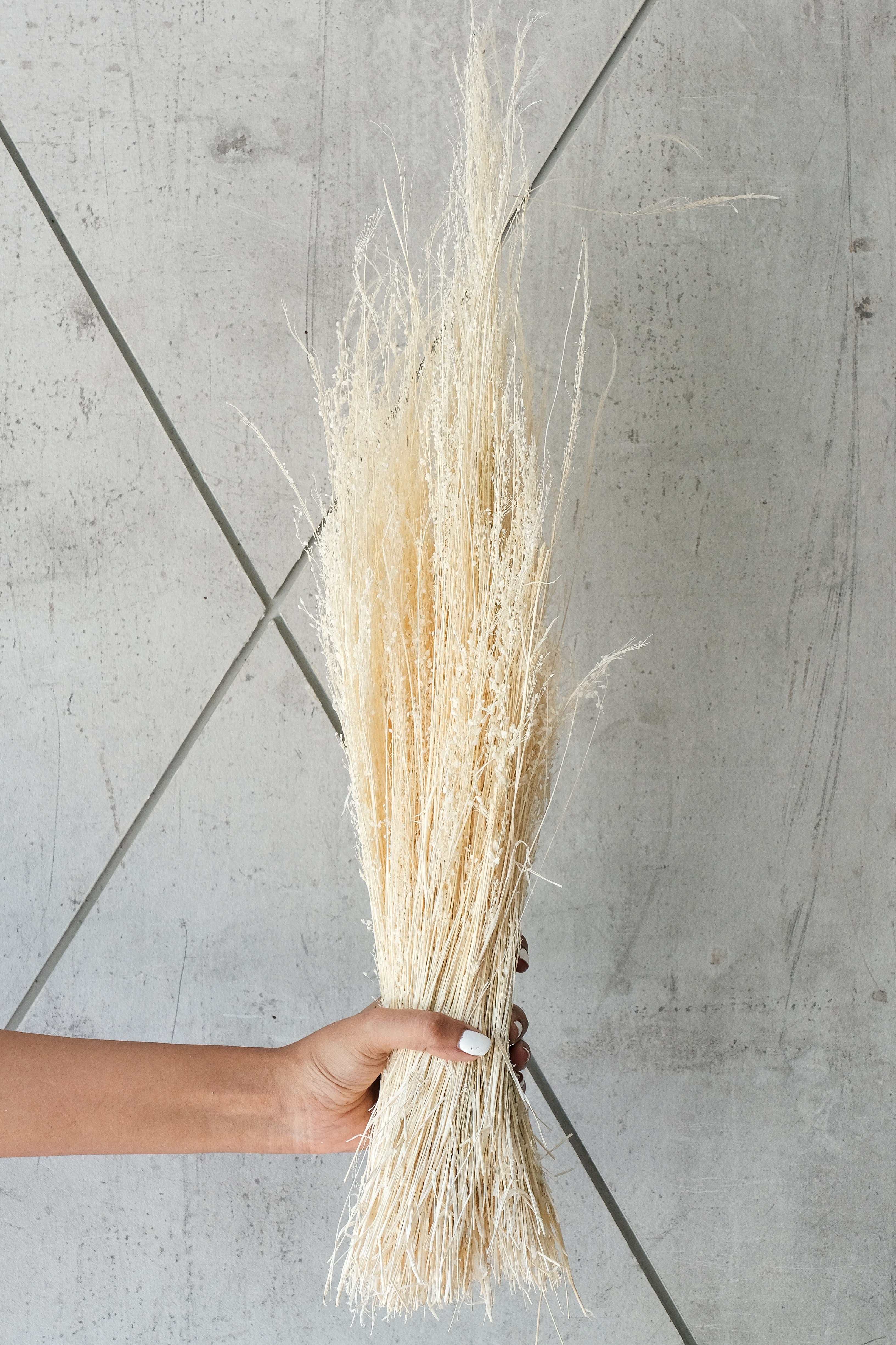 Star Grass Bleached (100 gms)