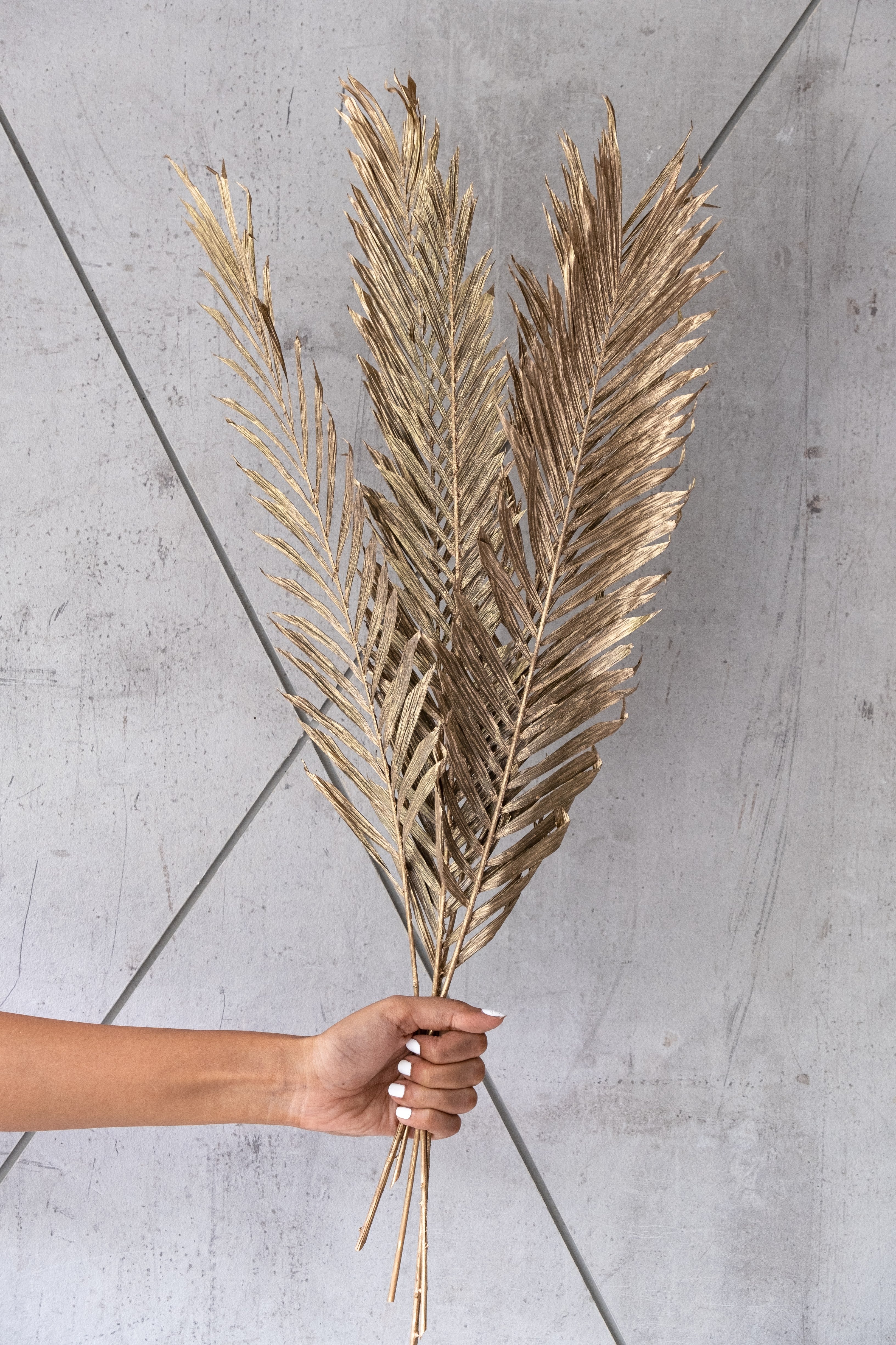 Gold washed cannacut leaves (5 stems)