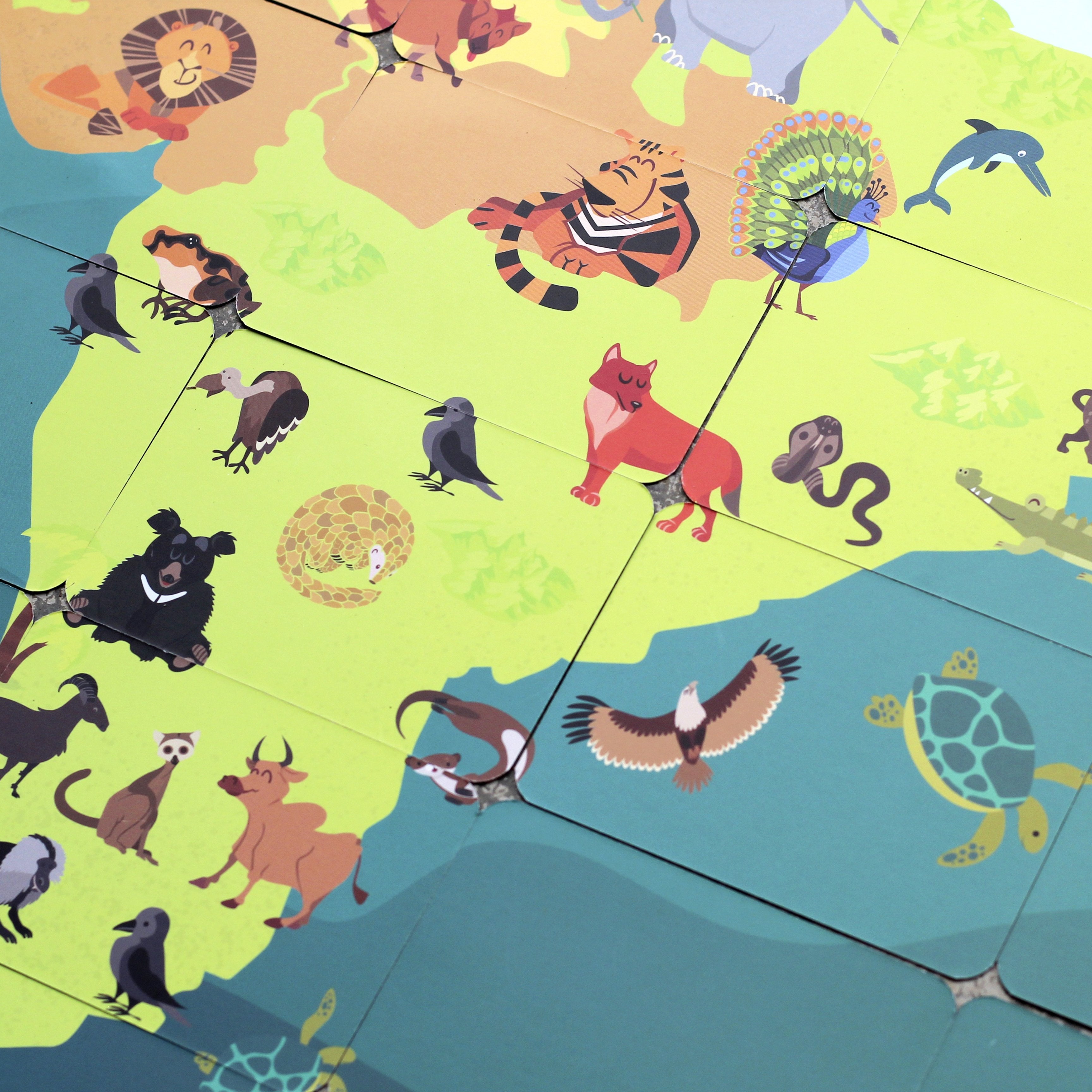 Indian Wild Safari Action Card Game