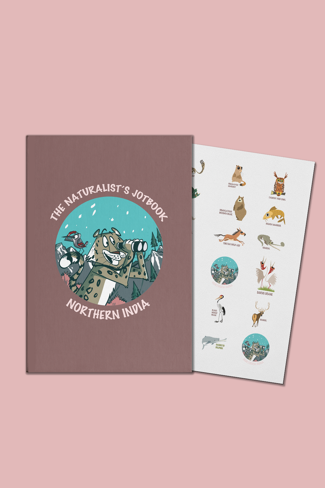 Naturalist’s Field Notebooks| Set of 6 with Sticker Sheets