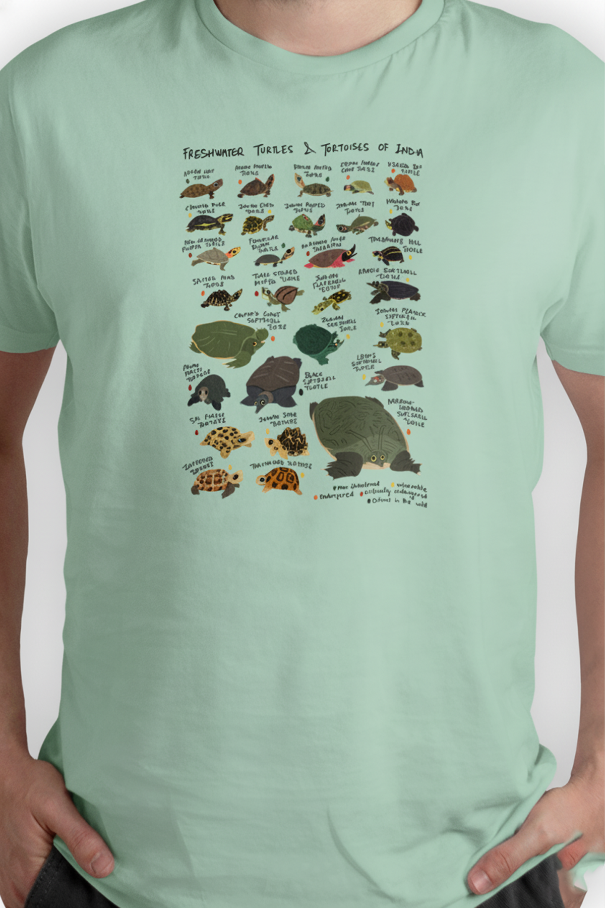 Freshwater Turtles Of India Tshirt