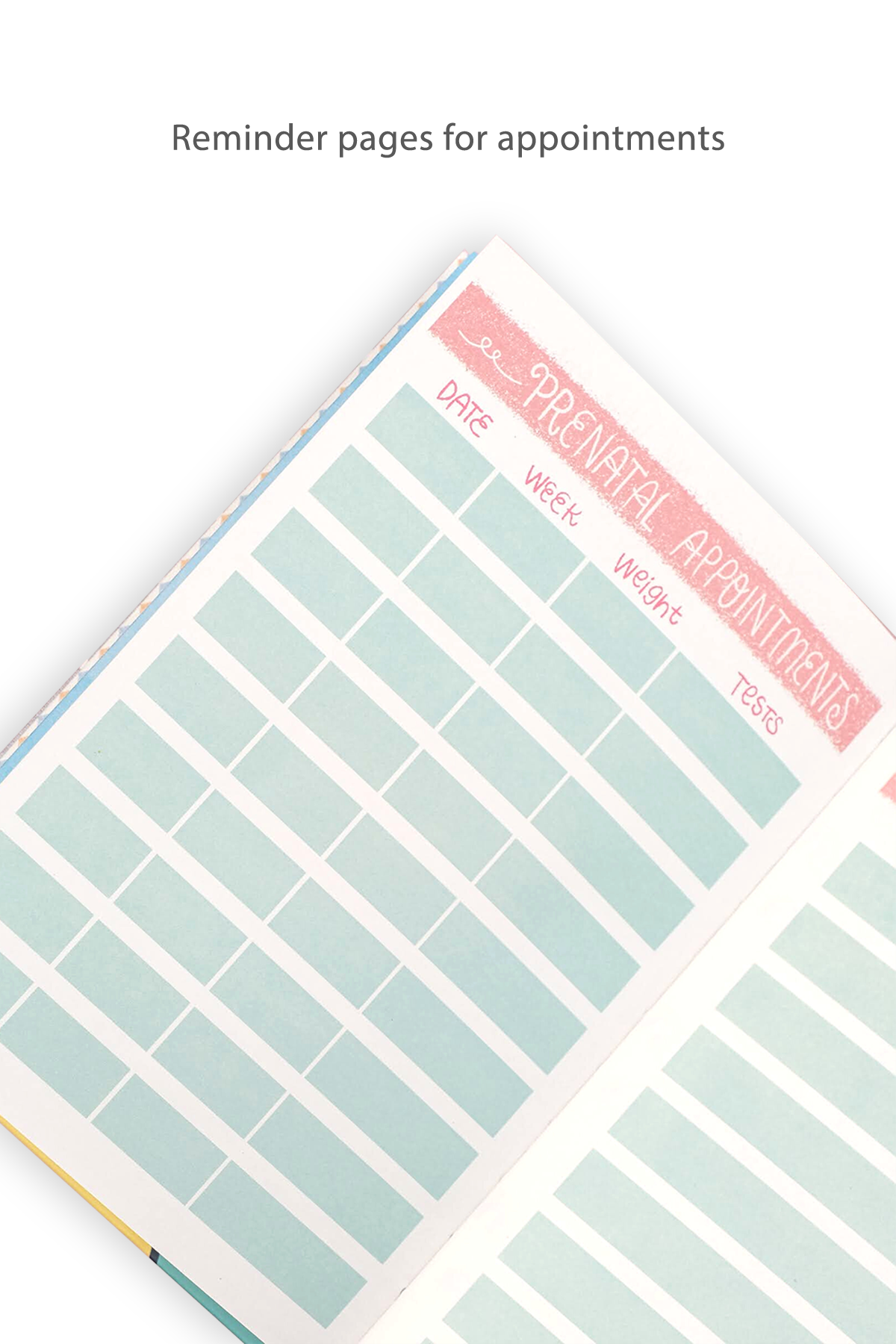 Pregnancy Journal