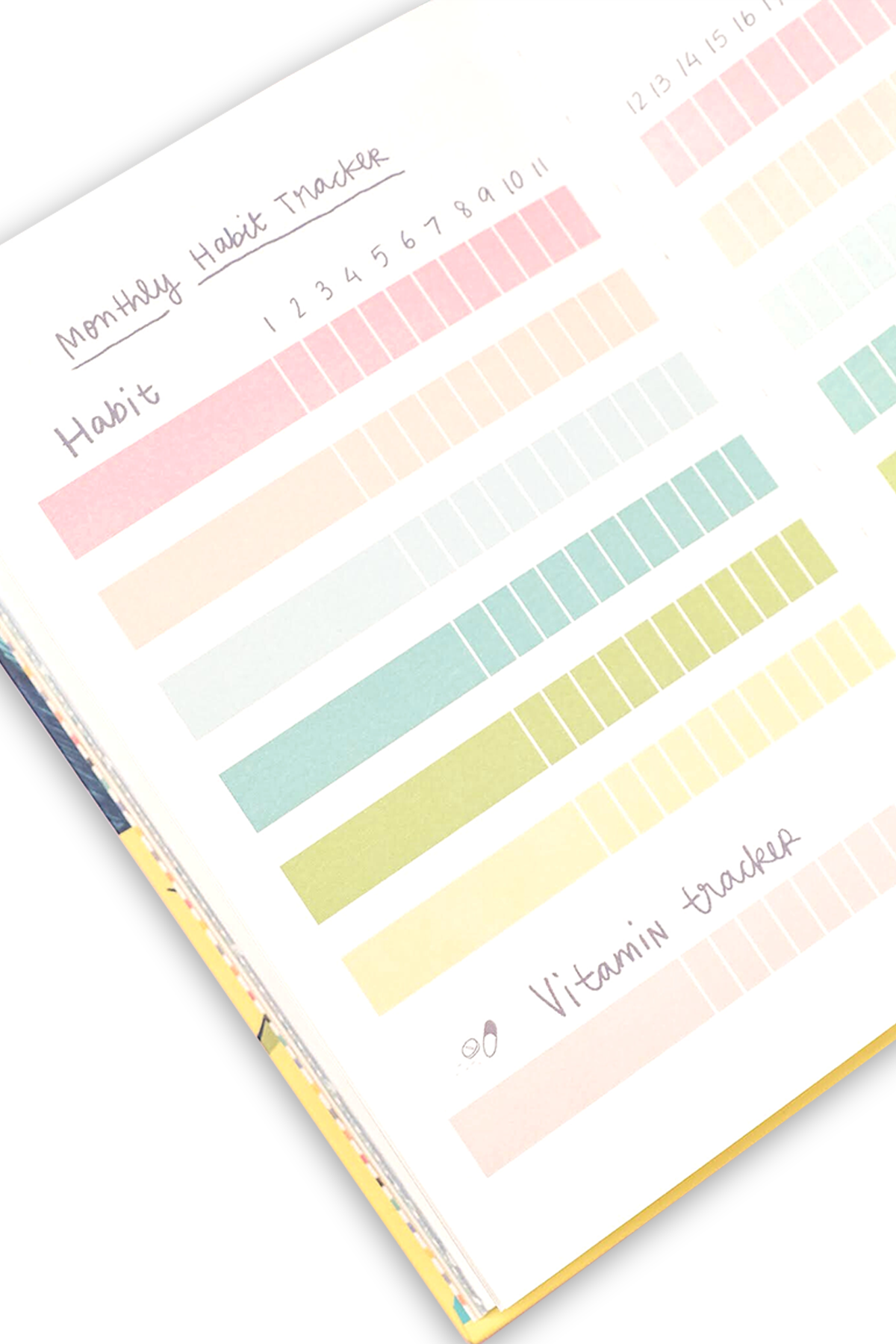 Pregnancy Journal