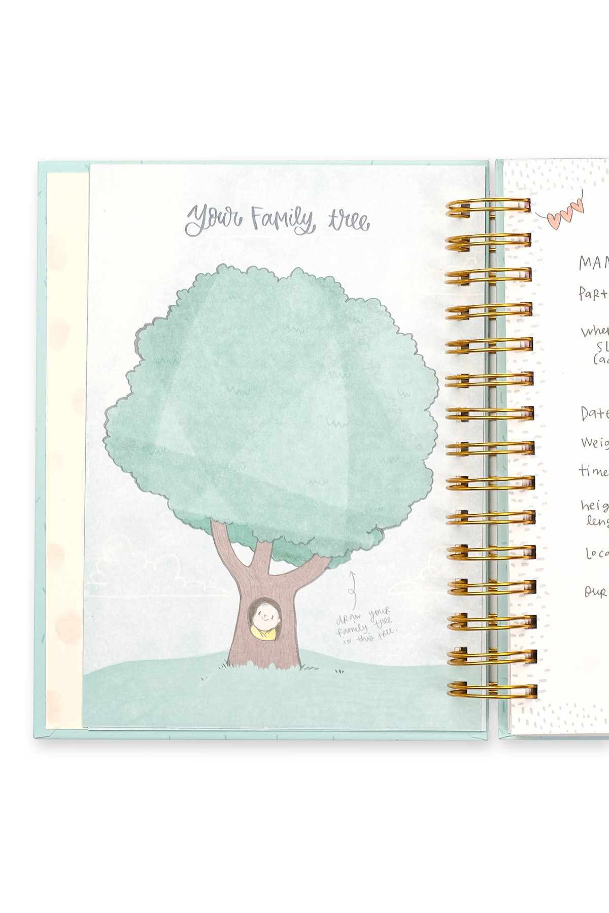 Baby Record Journal