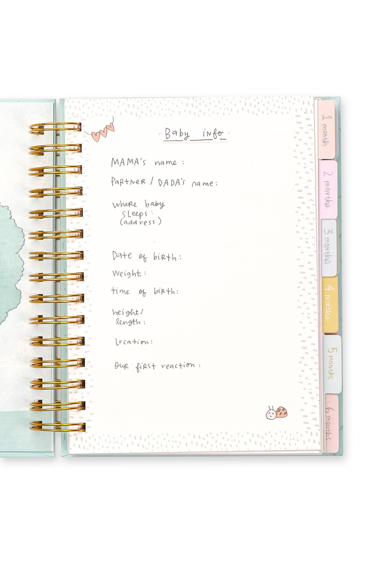Baby Record Journal