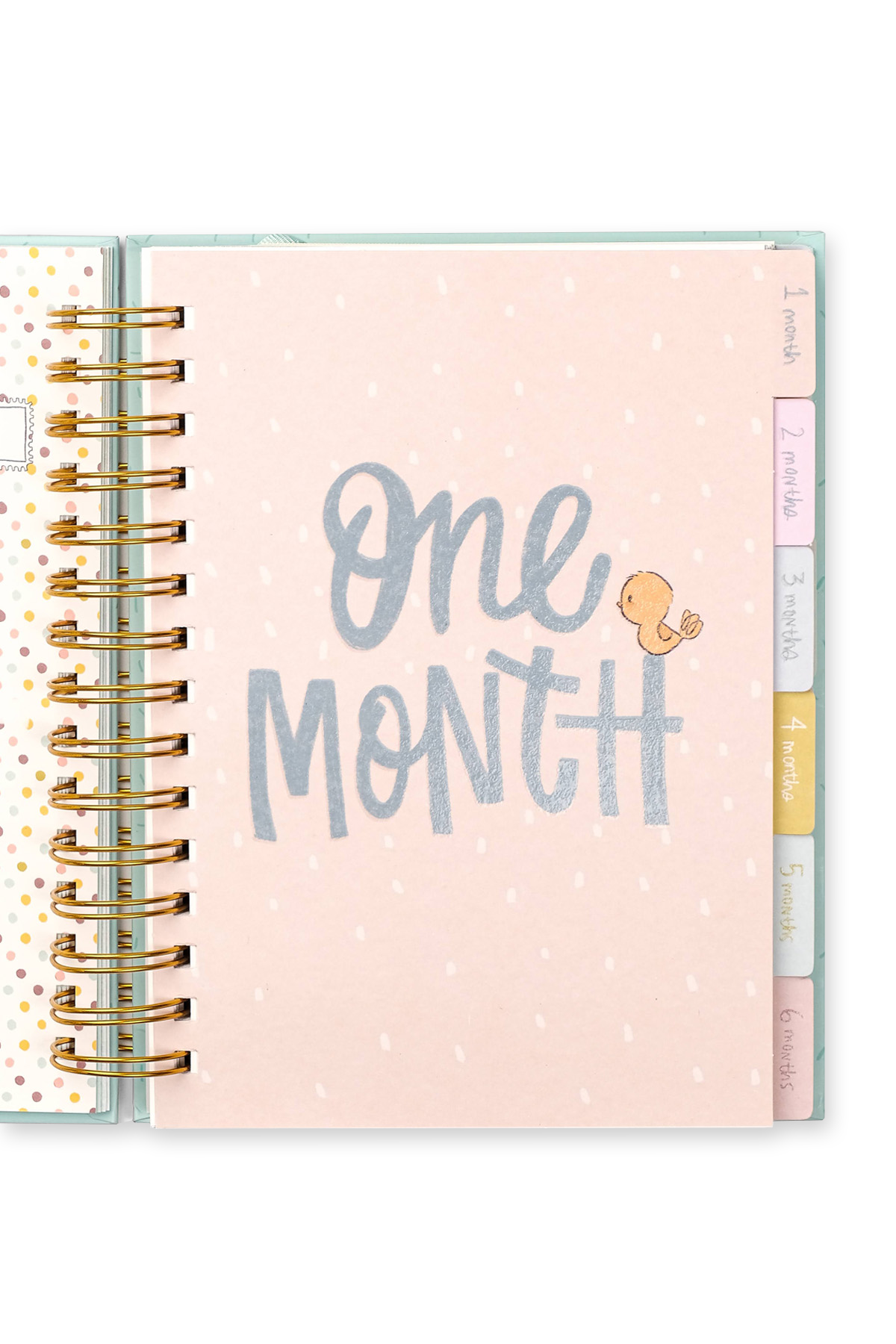 Baby Record Journal