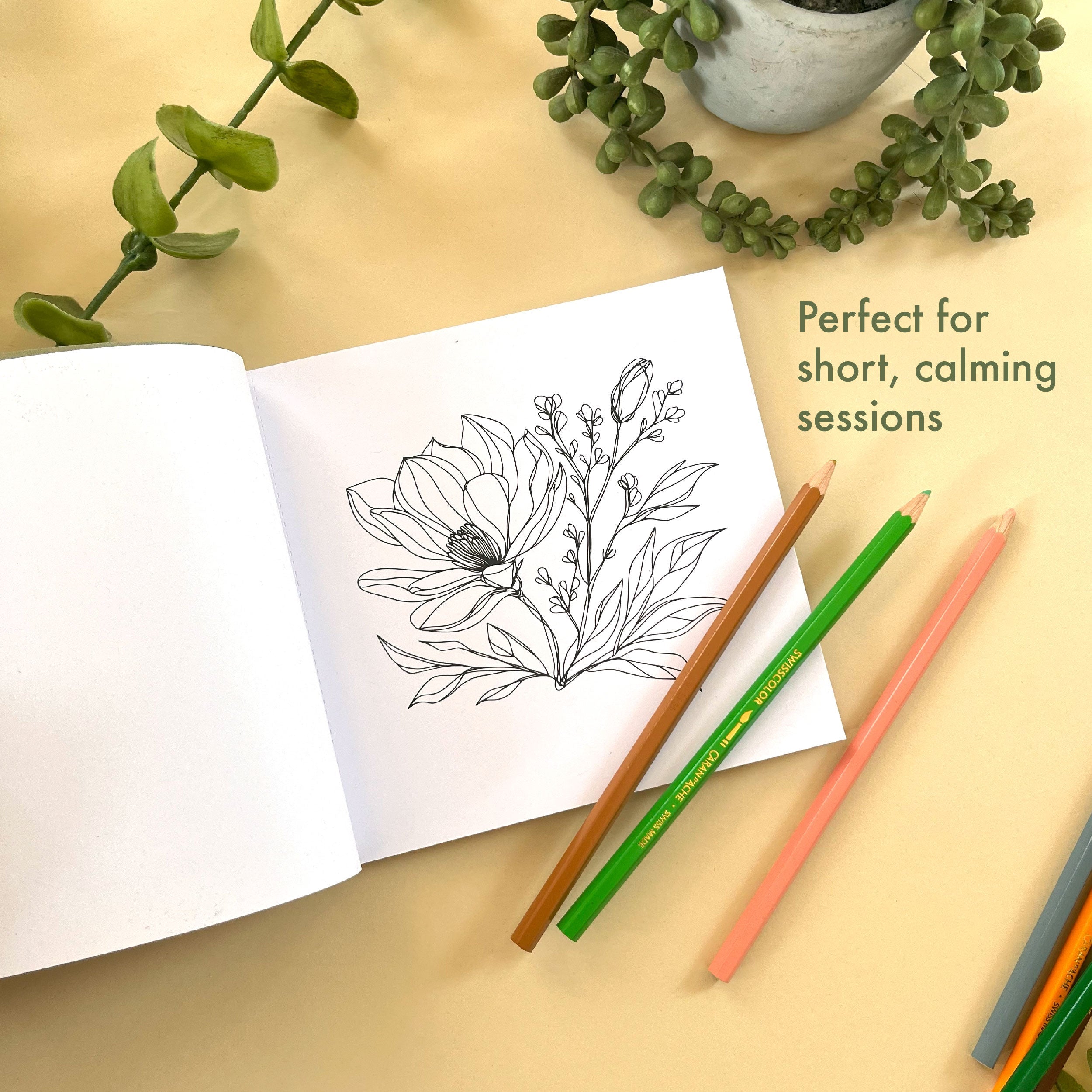 Mini Botanicals Colouring Book
