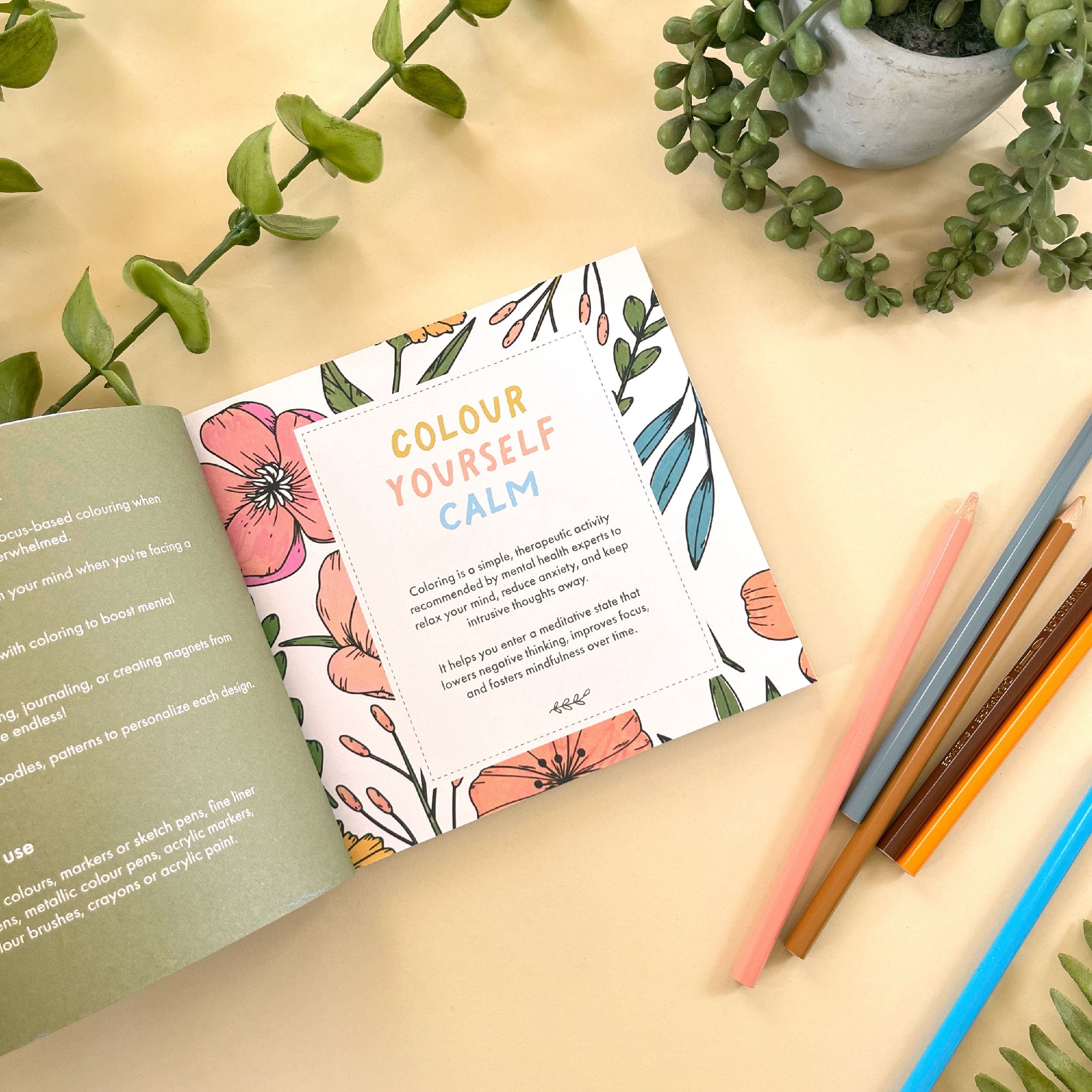 Mini Botanicals Colouring Book