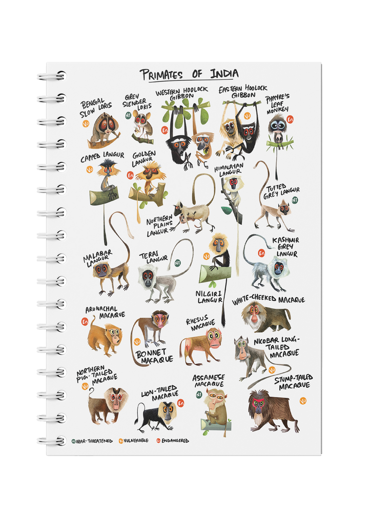 Primates of India Notebook