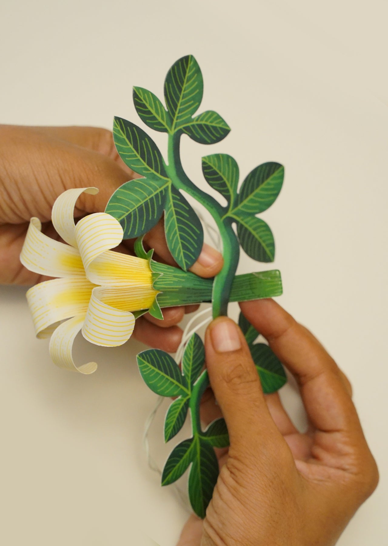 White Paper Flower Fairy Lights (10 flowers)
