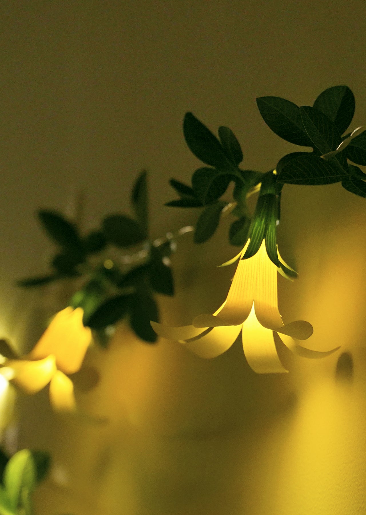 White Paper Flower Fairy Lights (10 flowers)