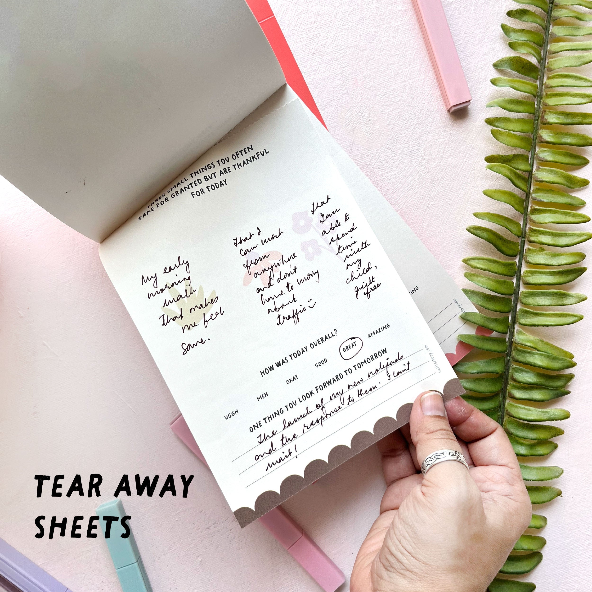 Three Good Things - Mini Gratitude Journal