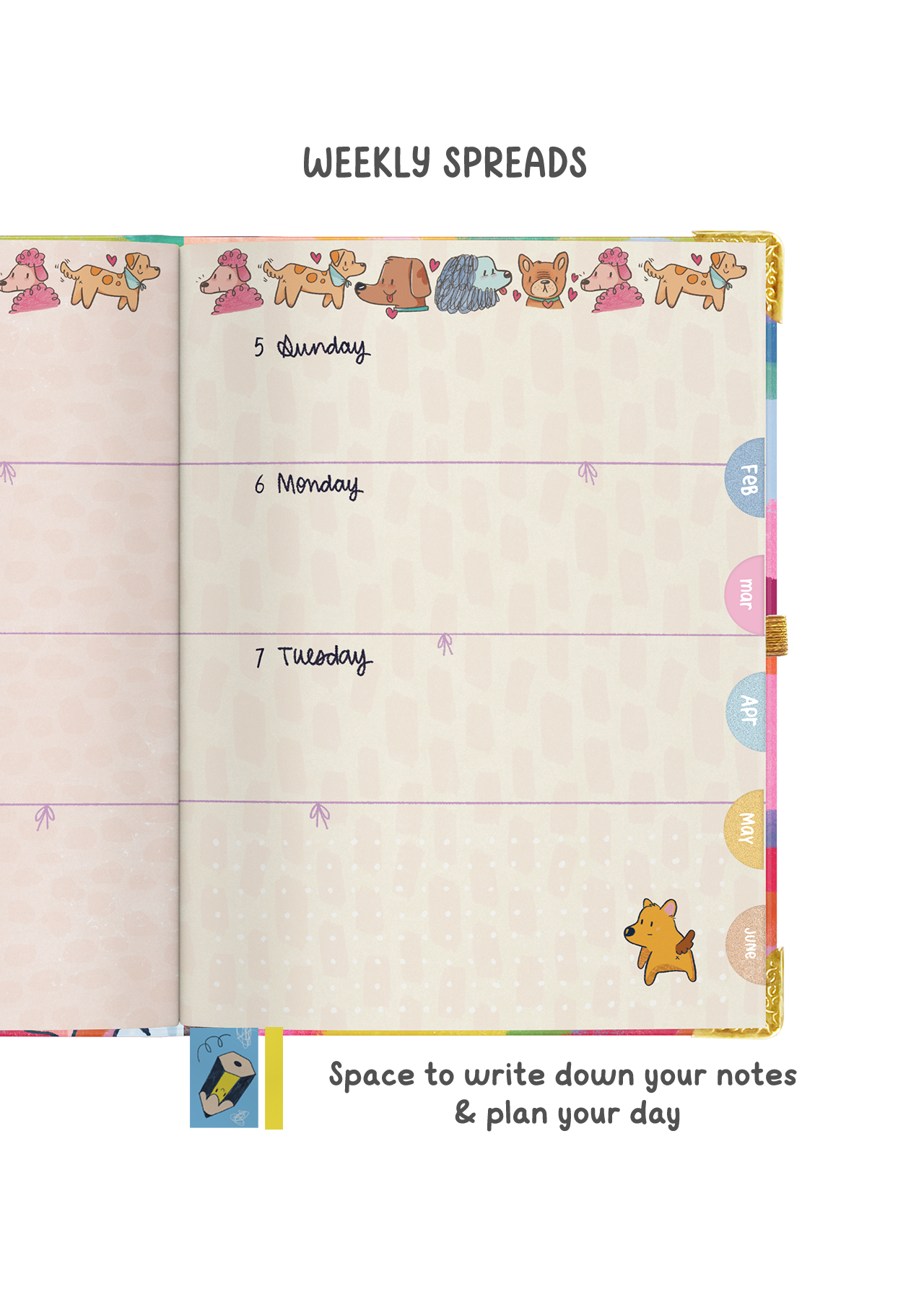 The Ultimate 2025 Trio (Hardbound) + Freebie Box