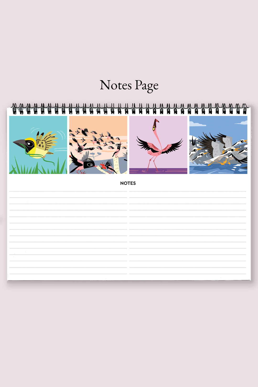 2024 Bird of the Month Large Desk Calendar