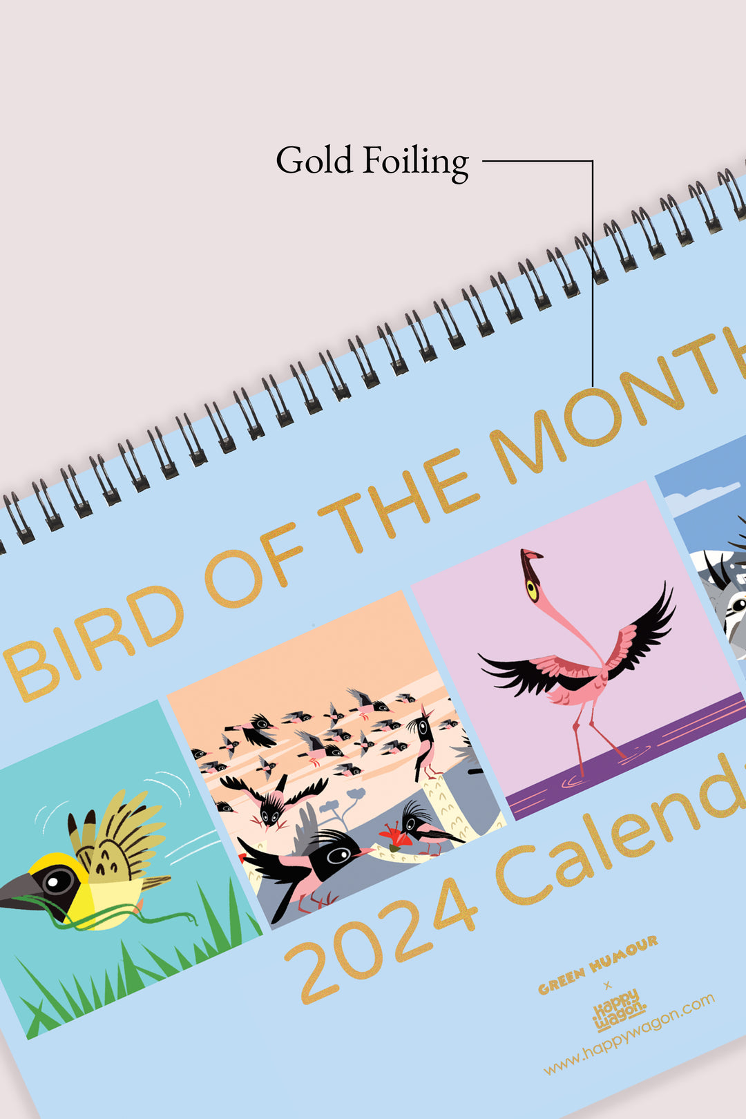 2024 Bird of the Month Large Desk Calendar