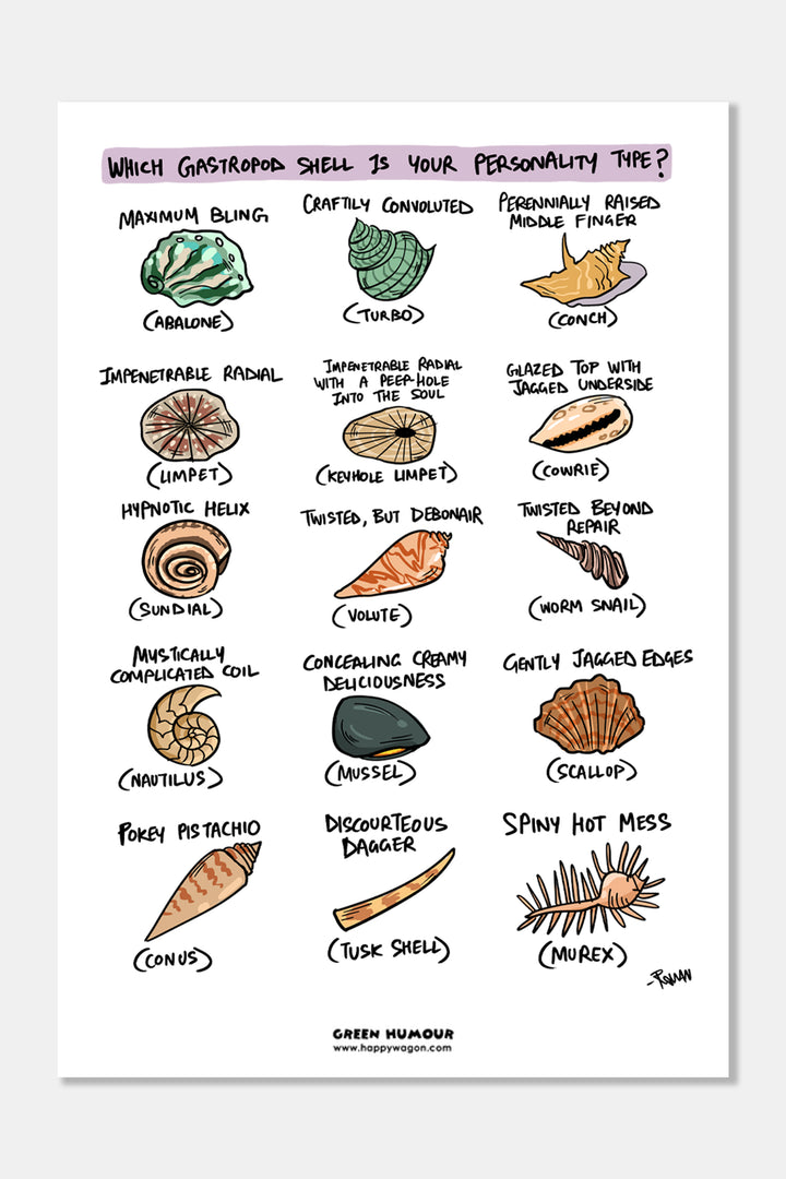 Gastropod Shell Non-Tearable Poster