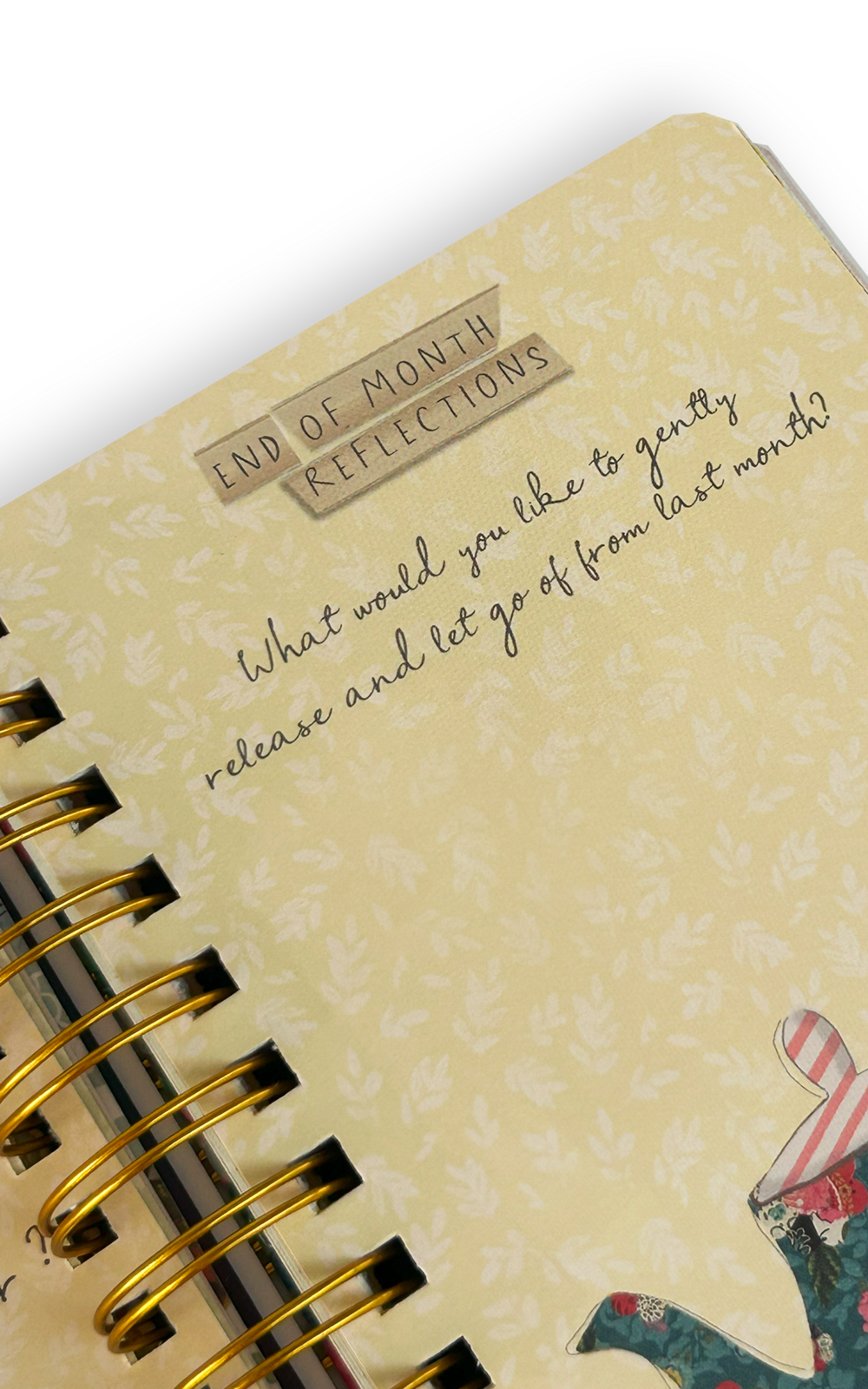 Full of Wonder Undated Planner