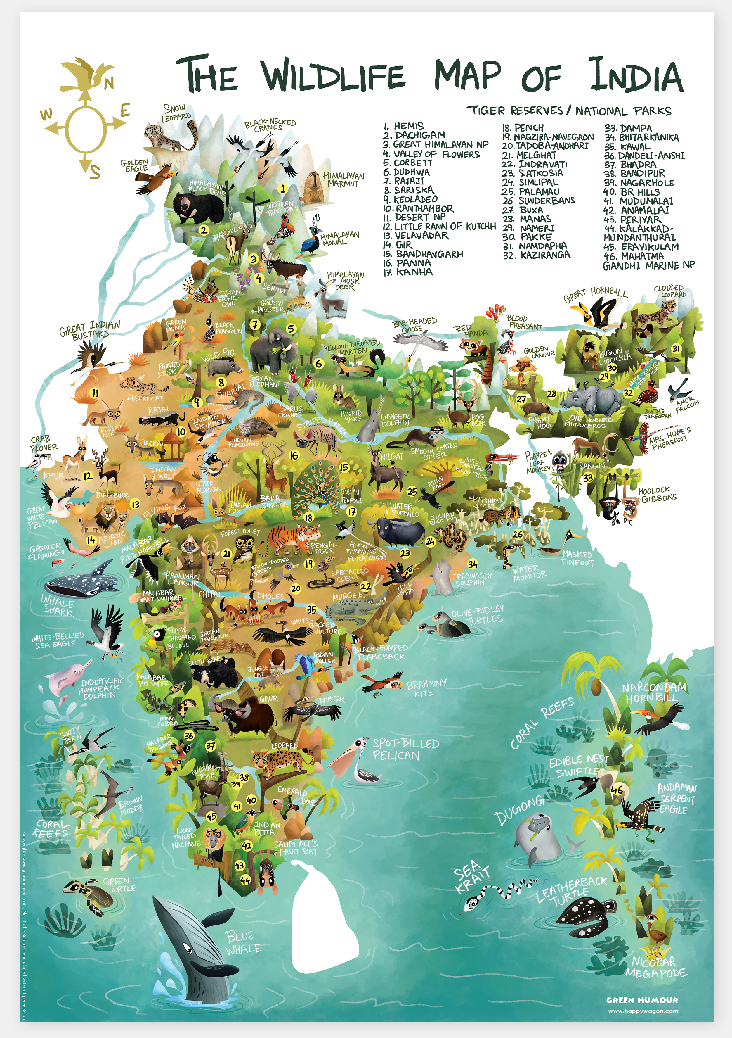 Non-Tearable Posters