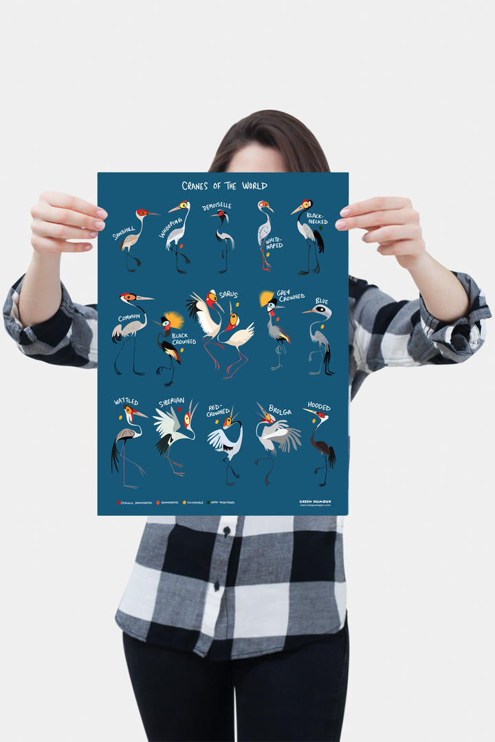 Cranes of the World Non-Tearable Poster