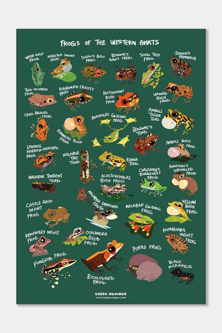 Frogs of the Western Ghats Non-Tearable Poster