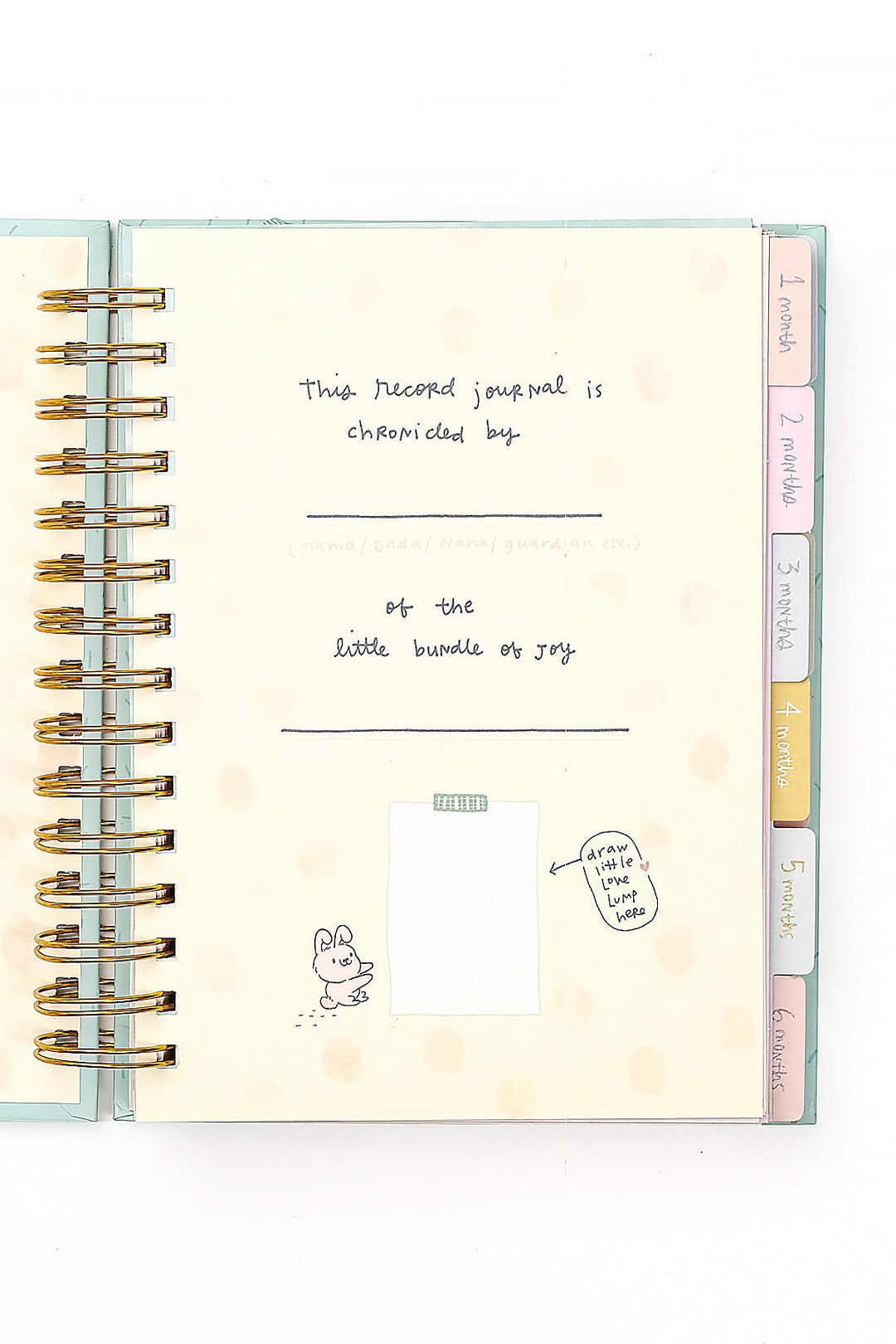 Baby Record Journal Set