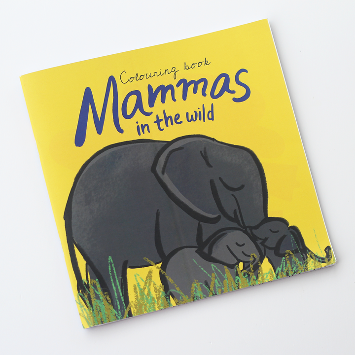 Into the Wild - Gift Combo Box