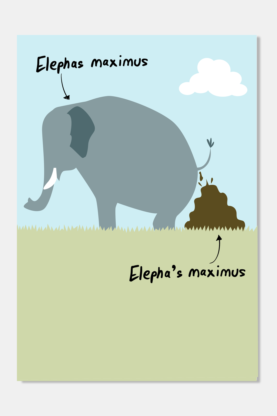 Elephas Maximus Non-Tearable Poster