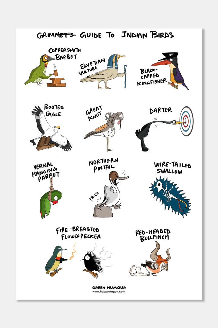 Grim Guide to Indian Birds Non Tearable Poster
