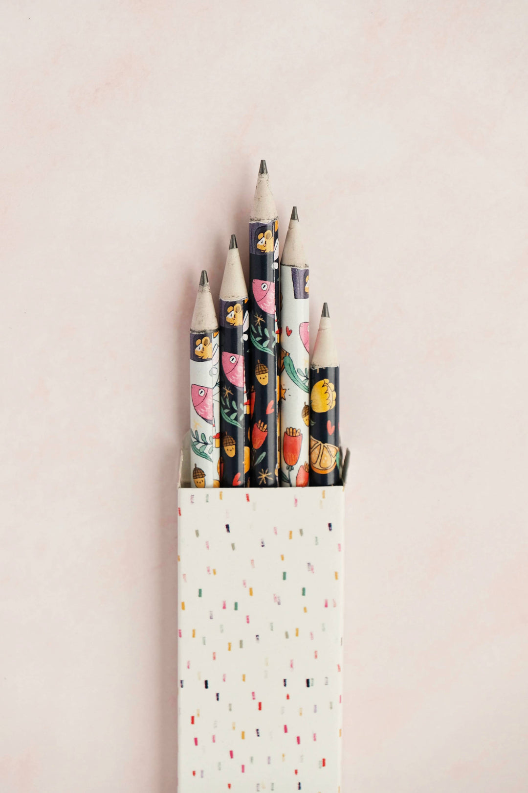 Wonderful World Illustrated Pencils (Set of 5)