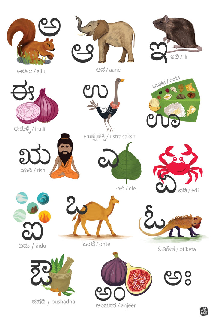 Kannada Alphabets - Swaragalu Non Tearable Poster