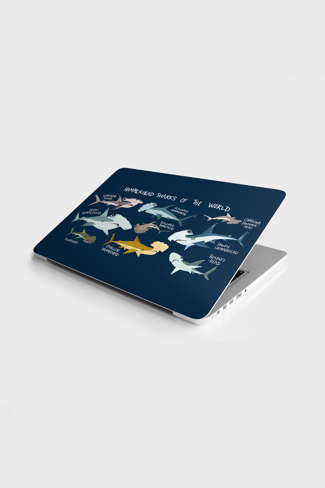 Hammerhead Sharks of the World Laptop Skin