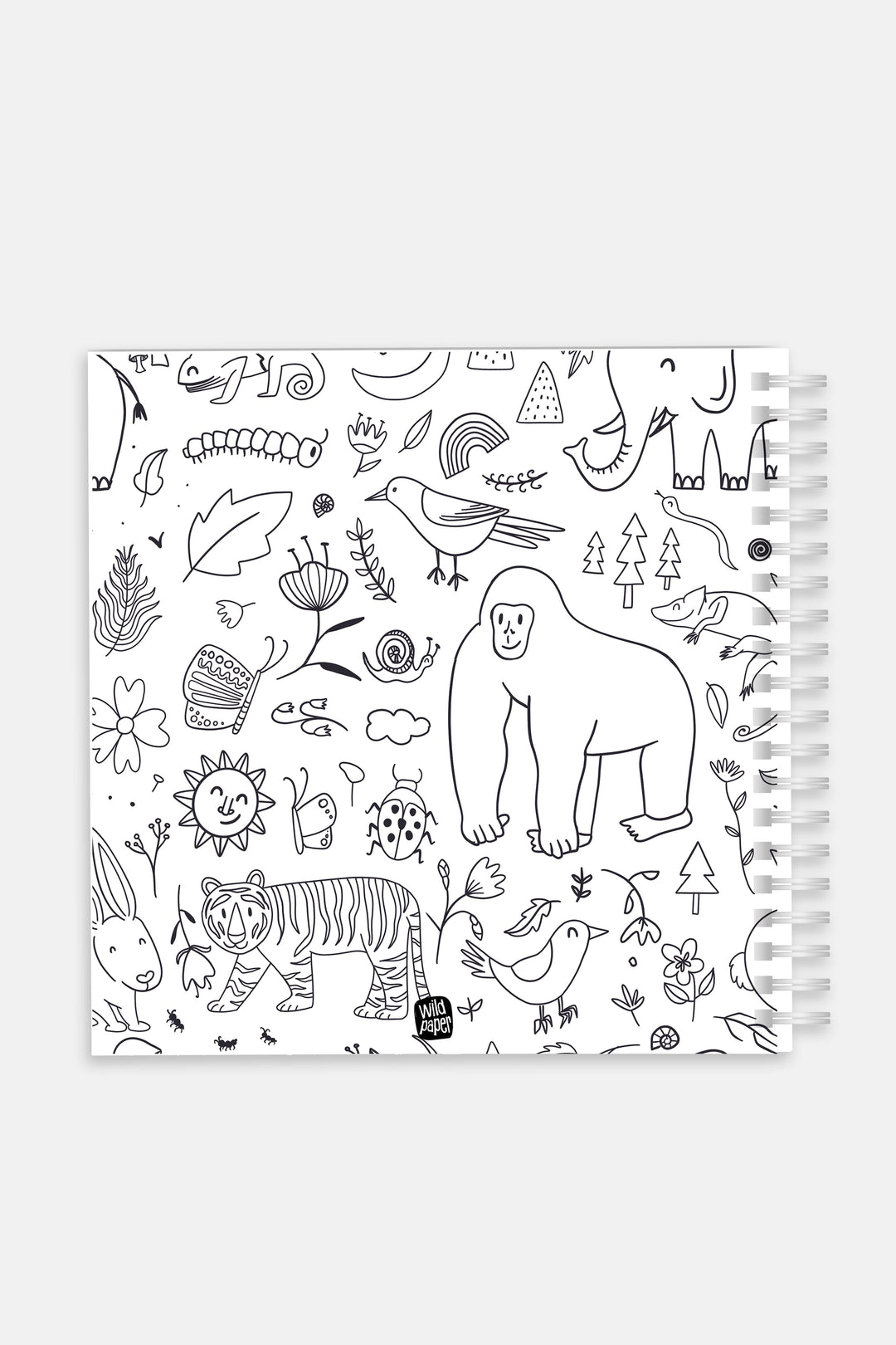 Jungle Safari Sketchbook Combo