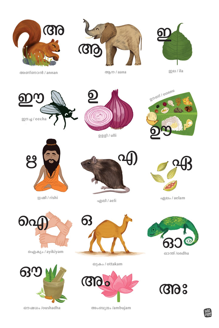 Aksharangal Malayalam - Non Tearable Poster