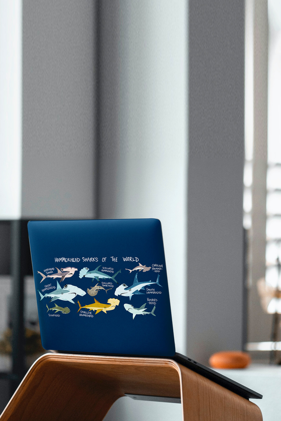Hammerhead Sharks of the World Laptop Skin