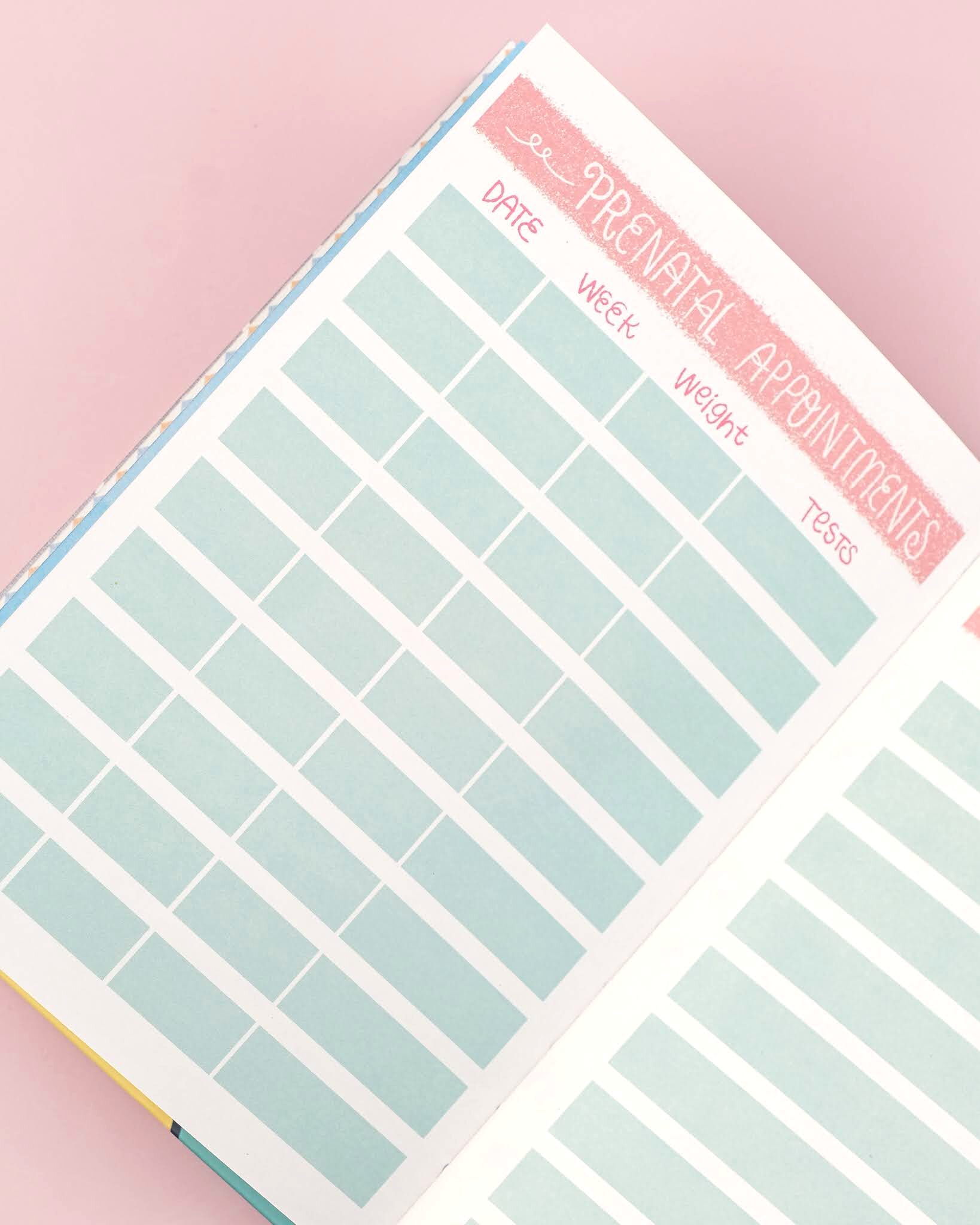 Pregnancy Journal Set