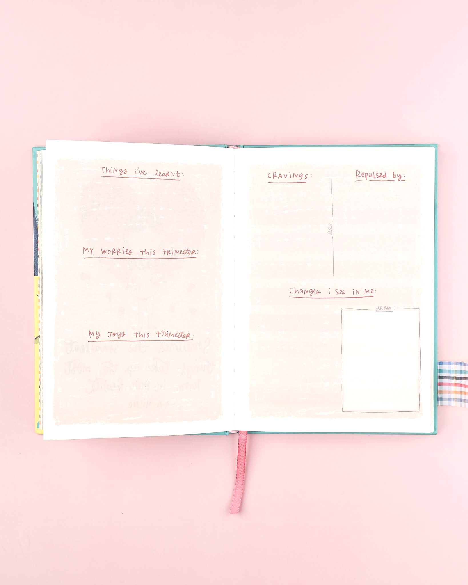 Pregnancy Journal Set