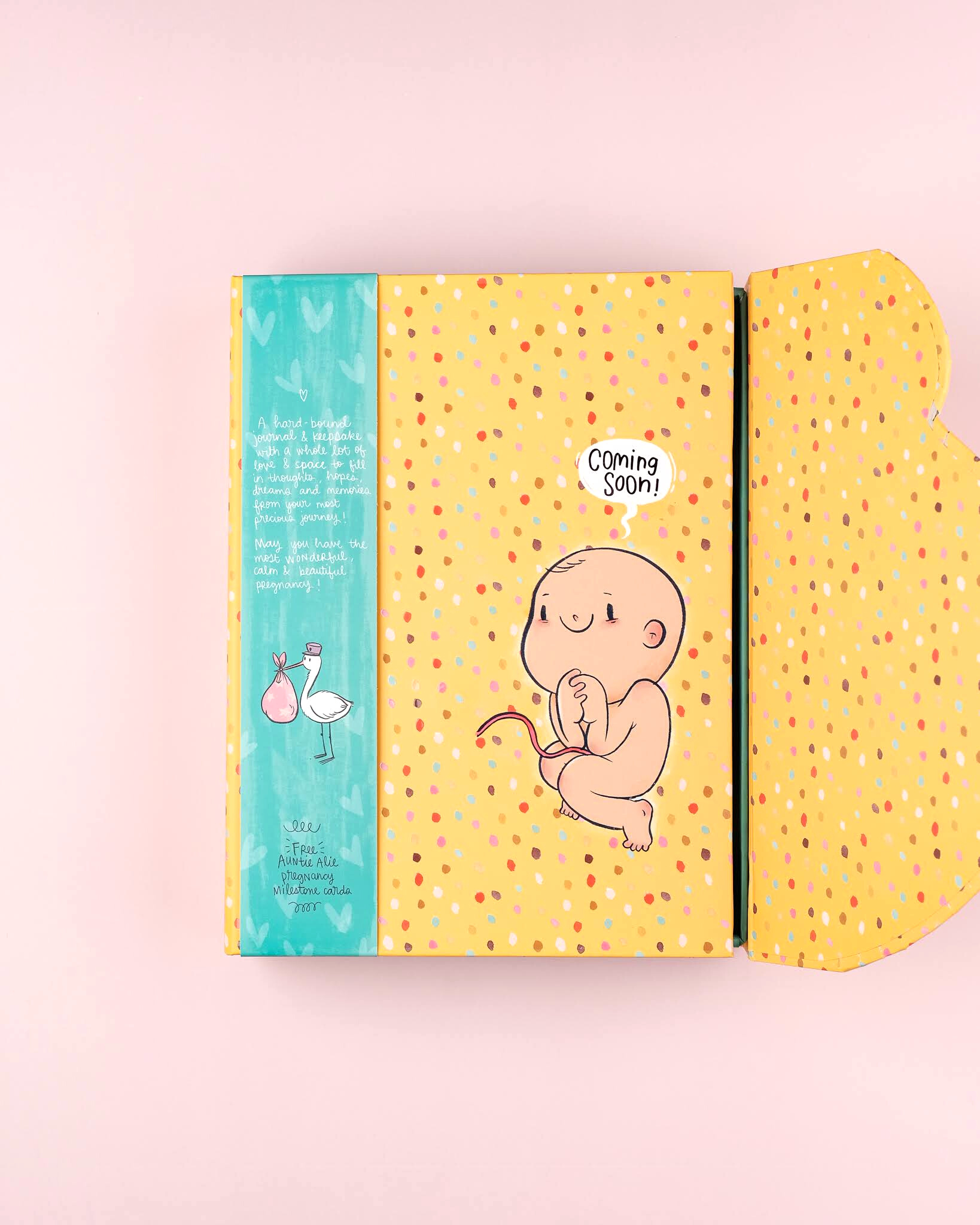 Pregnancy Journal Set