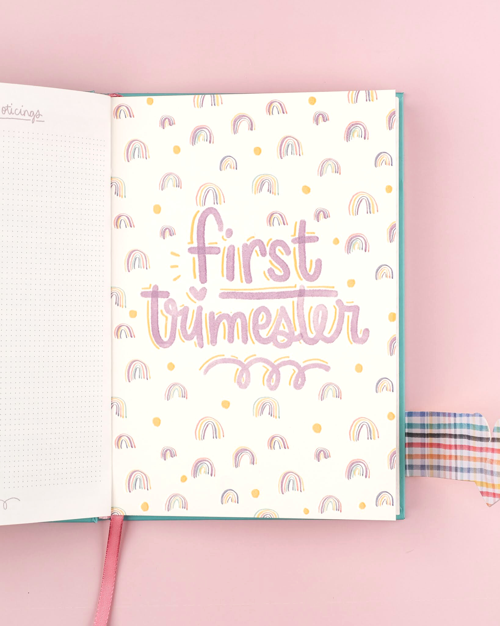 Pregnancy Journal Set