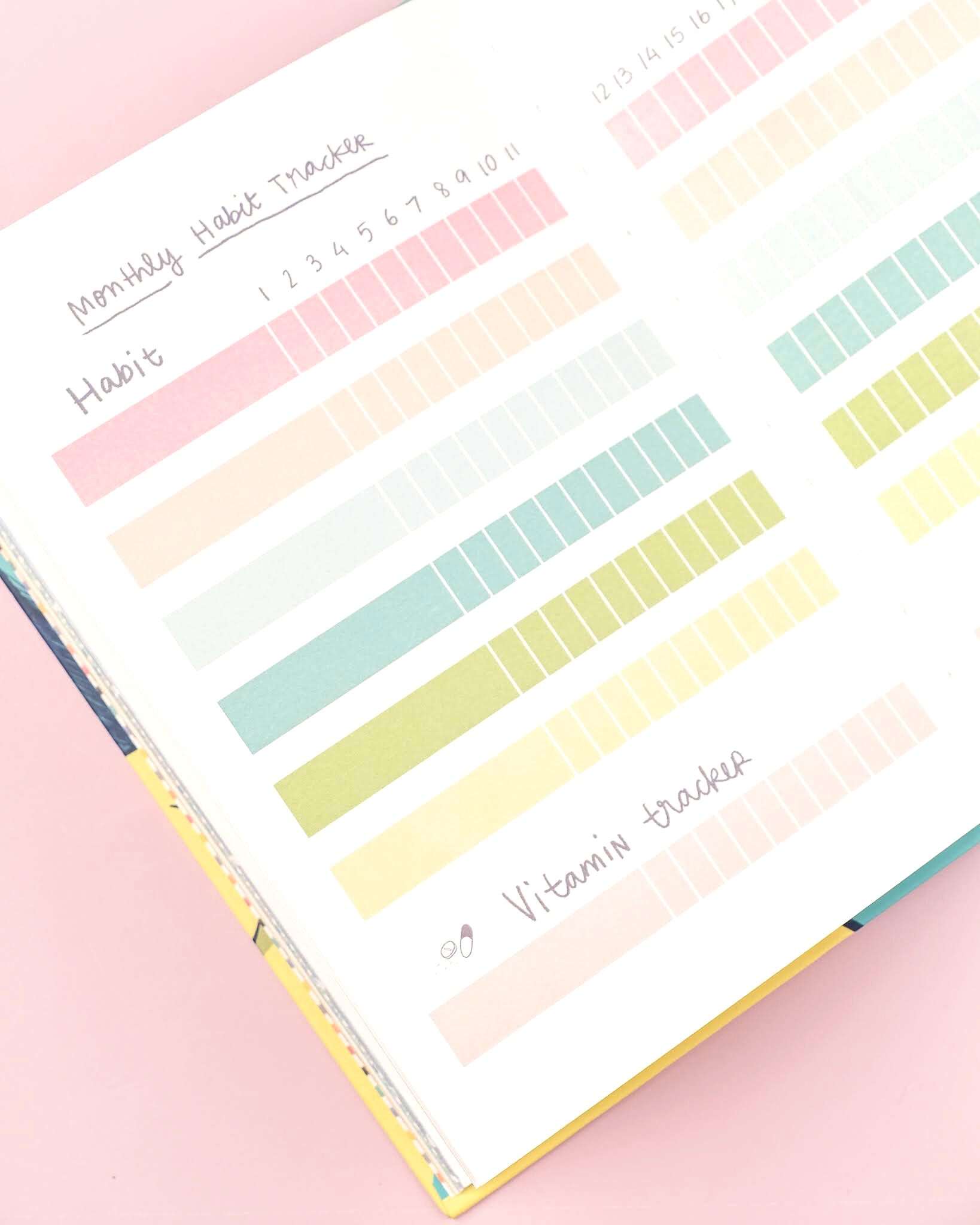 Pregnancy Journal Set