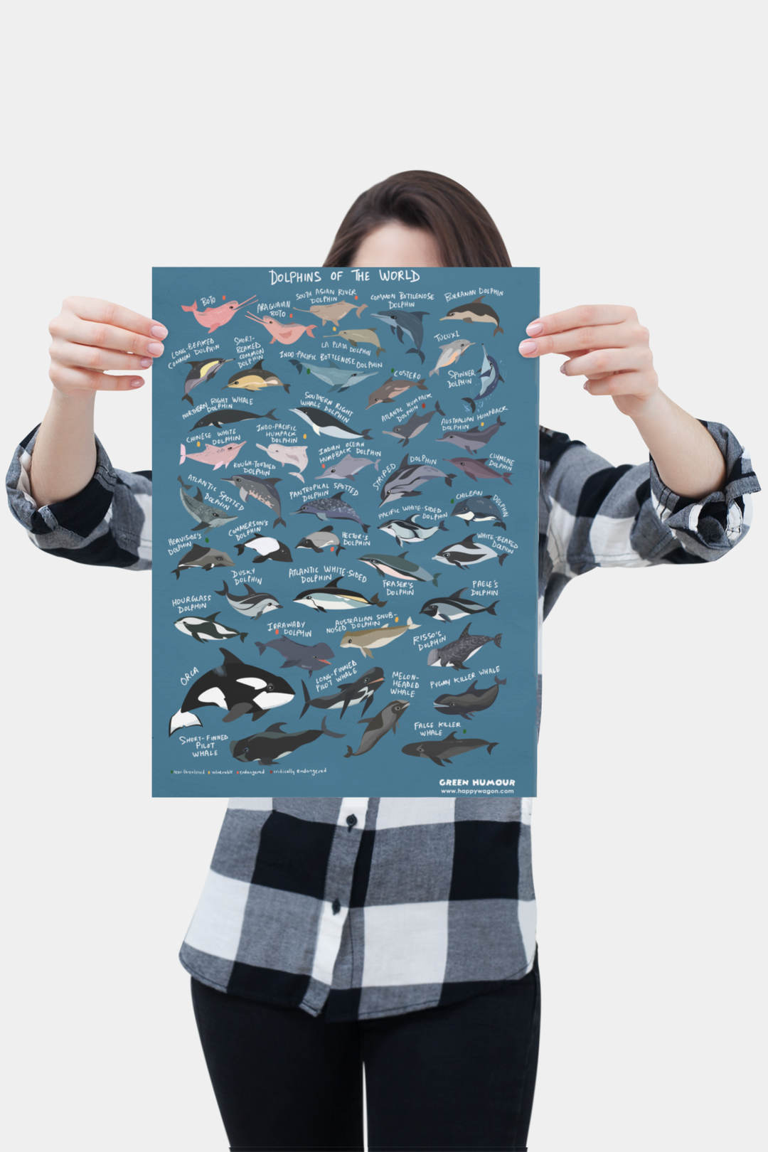 Dolphins Of The World Non-Tearable Poster