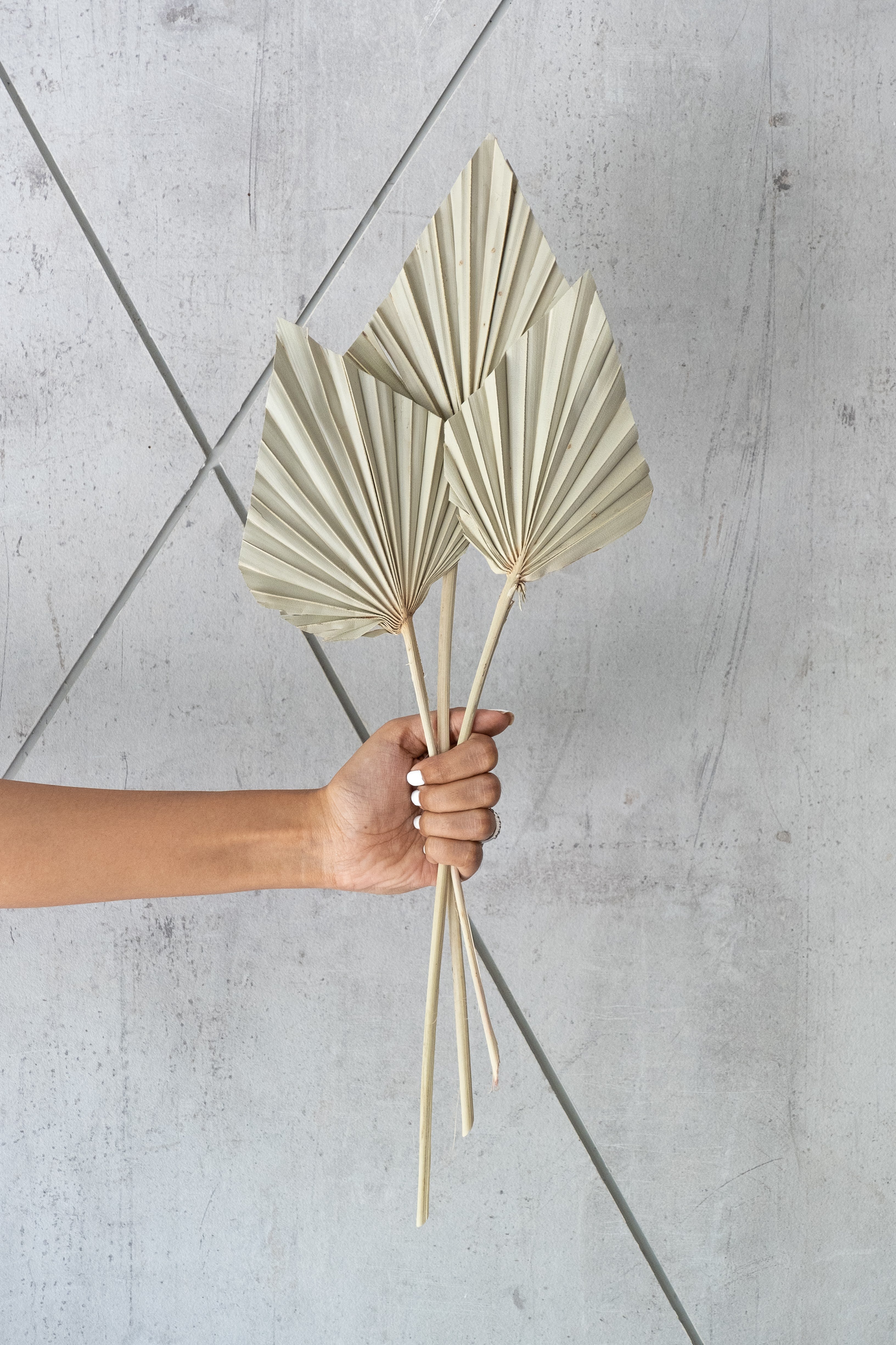 Palm spear Natural (Set of 3)
