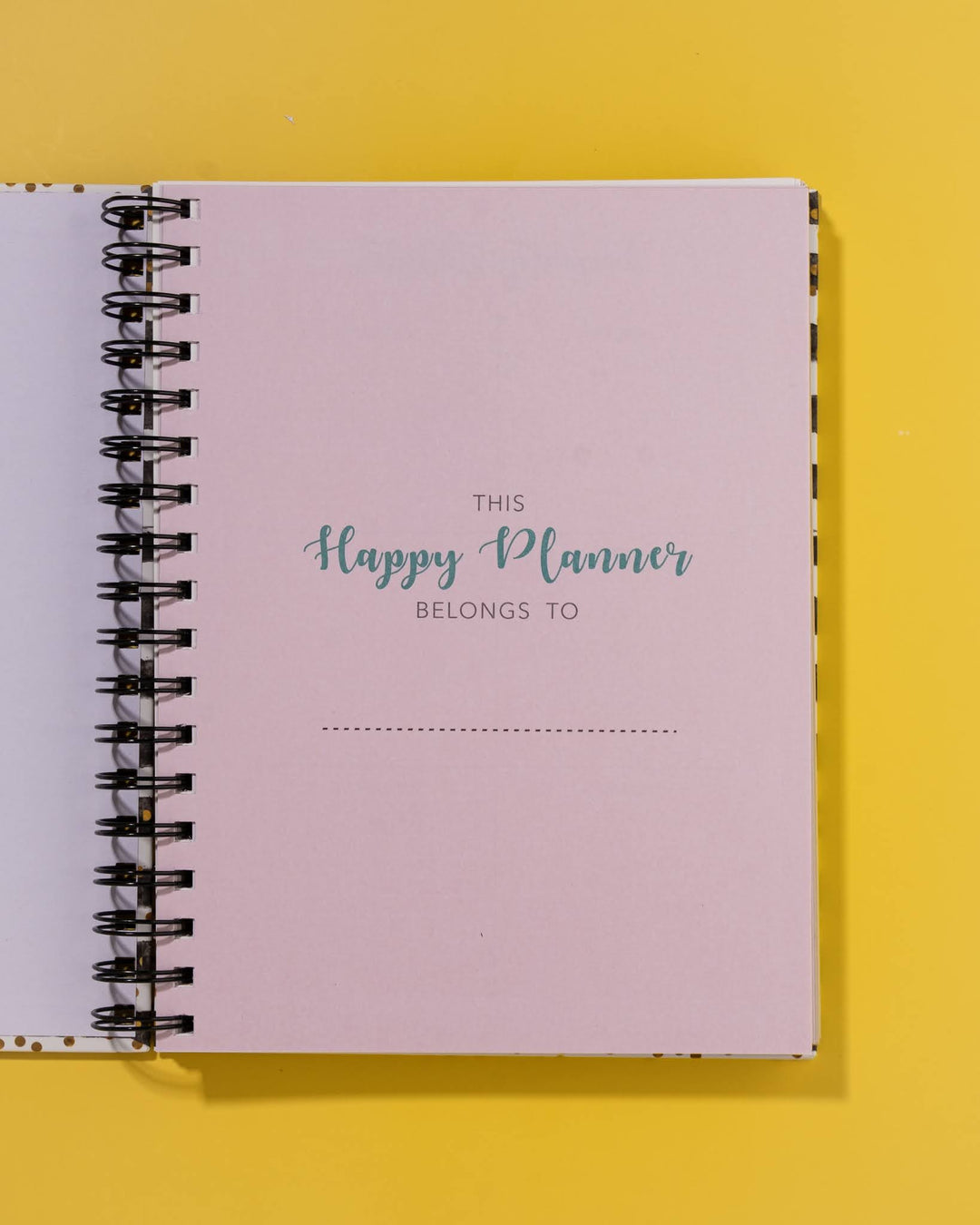 Stripes Undated Planner