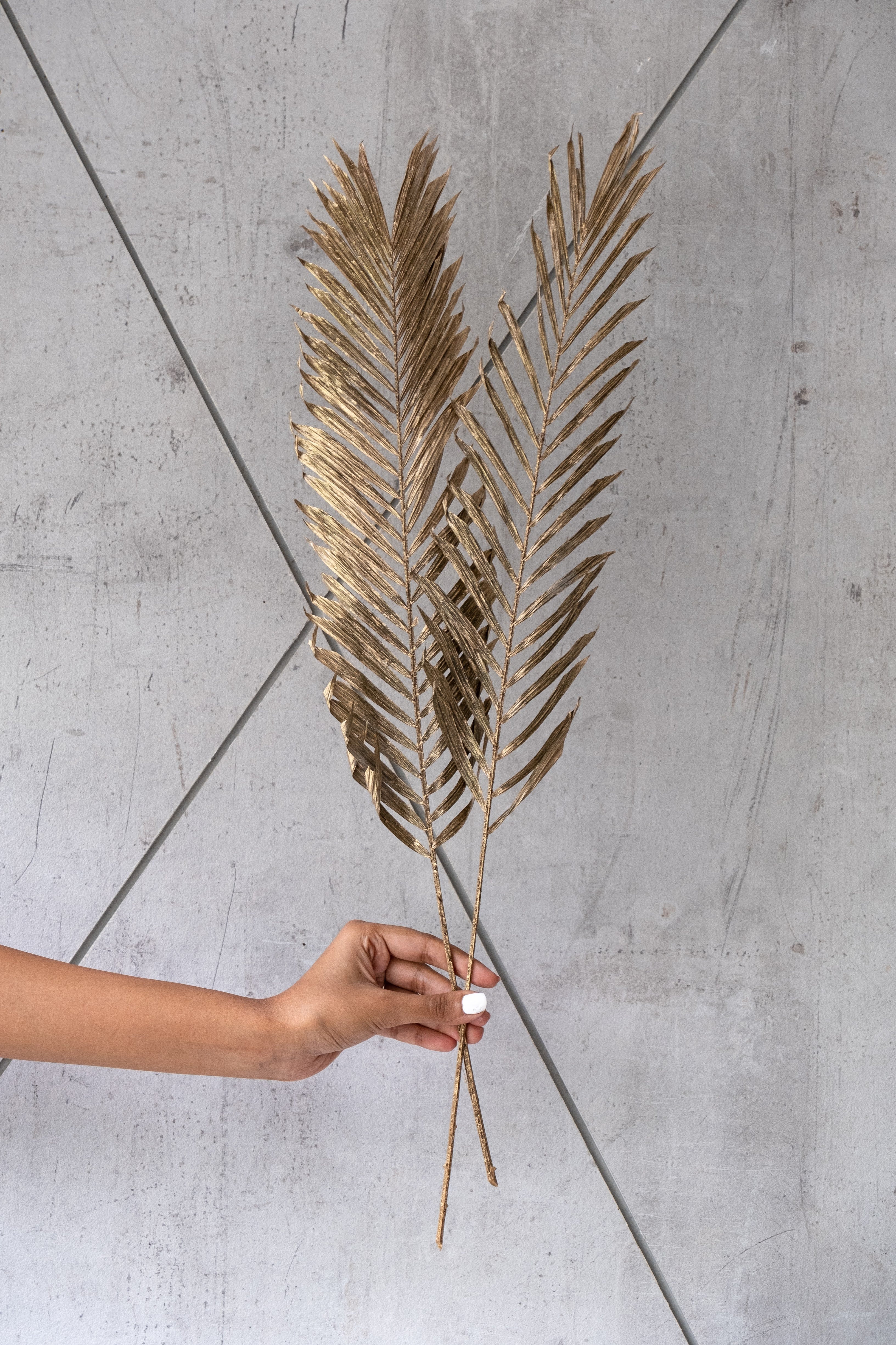 Gold washed cannacut leaves (5 stems)