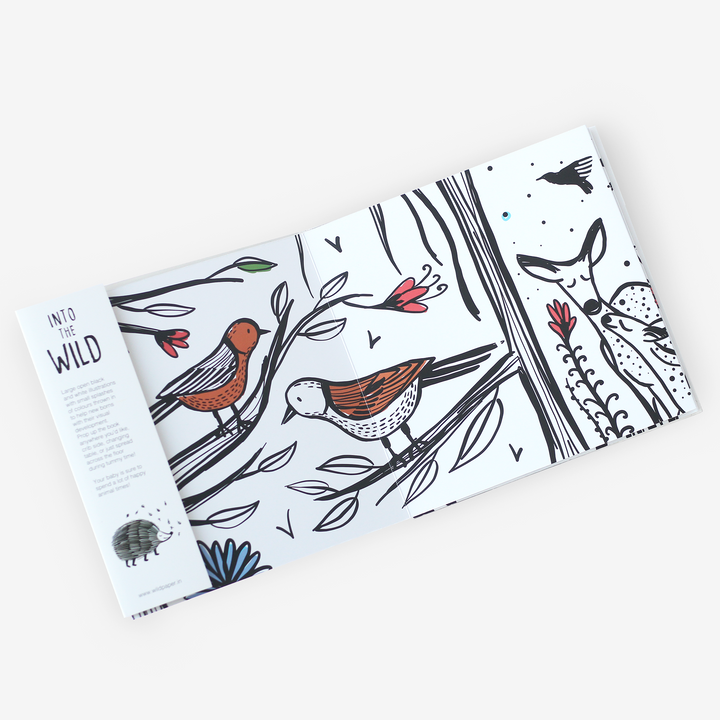 Into the Wild Foldout Book